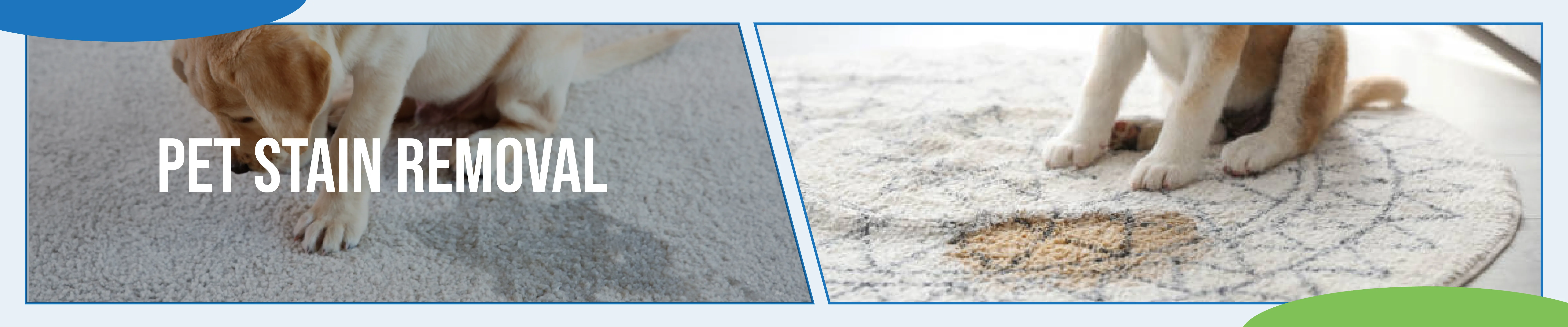 carpet cleaning in NYC, carpet cleaning in new york, carpet cleaning NYC, carpet cleaners in NYC, carpet cleaners in new york, commercial carpet cleaning, commercial carpet cleaning in NYC, NYC rug cleaners, rug cleaning services in NYC, same day carpet cleaning, same day rug cleaning